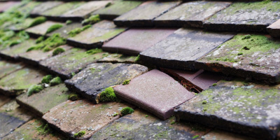 Chiddingly roof repair costs